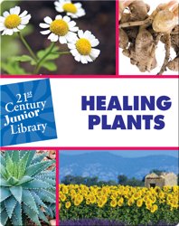 Healing Plants