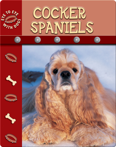 Eye To Eye With Dogs: Cocker Spaniels