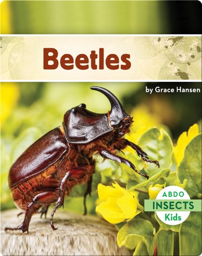 Beetles