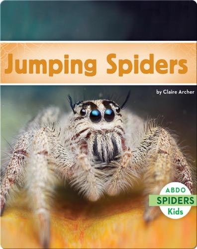 Jumping Spiders
