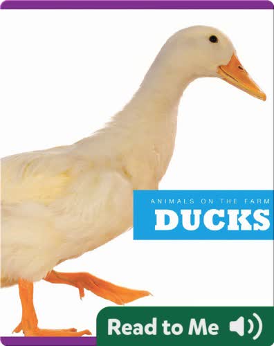Ducks