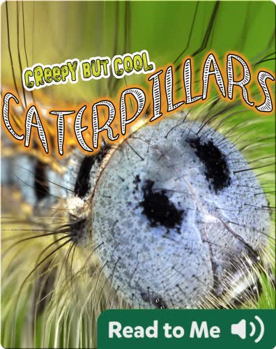 Creepy But Cool: Caterpillars