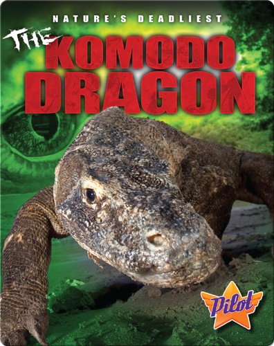 The Komodo Dragon