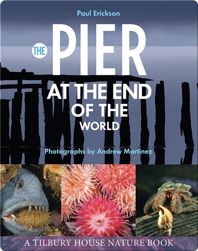 The Pier at the End of the World