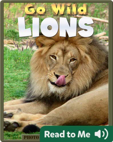 Go Wild Lions