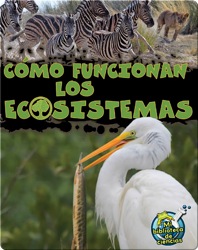 Cómo Funcionan Los Ecosistemas