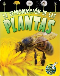La reproducción de las plantas