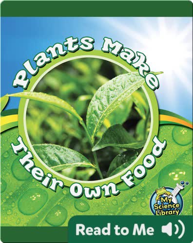 Plants Make Their Own Food
