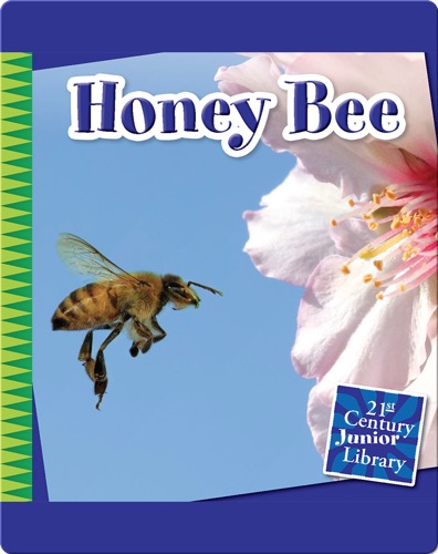 Honey Bee