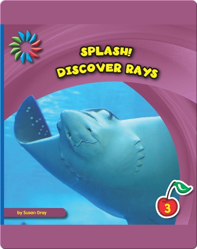 Discover Rays