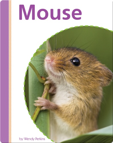 Mouse