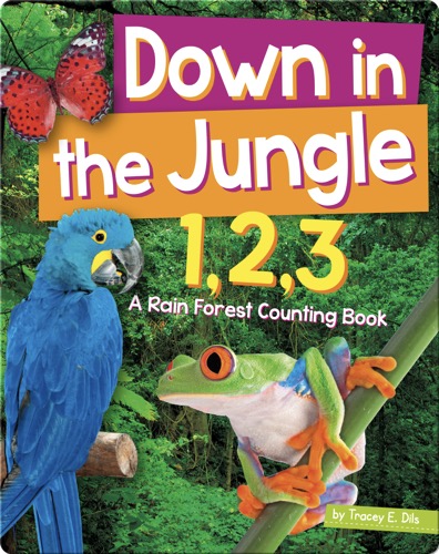 Down In The Jungle 1,2,3: A Rain Forest Counting Book
