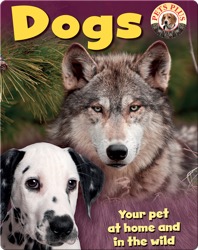 Dogs