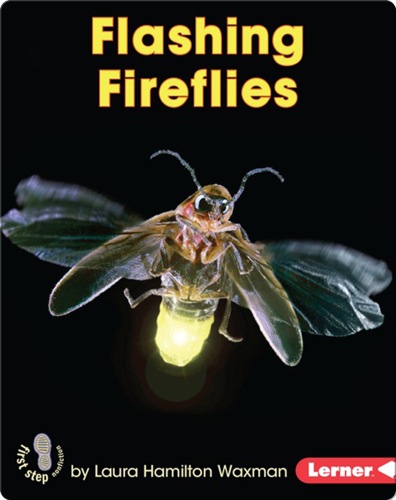 Flashing Fireflies