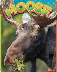 Moose