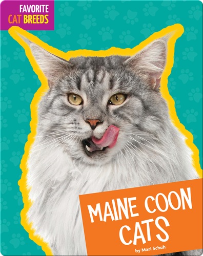 Maine Coon Cats
