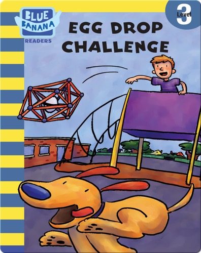 Egg Drop Challenge