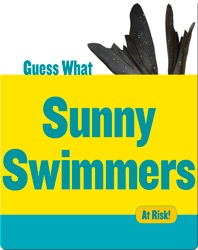 Sunny Swimmers