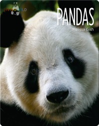 Pandas