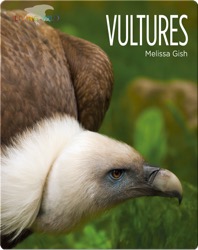 Vultures