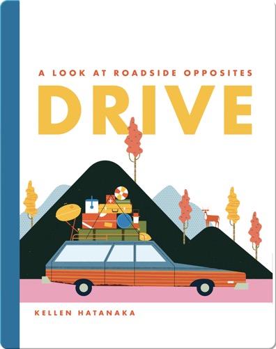 Drive: A Look at Roadside Opposites