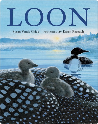 Loon