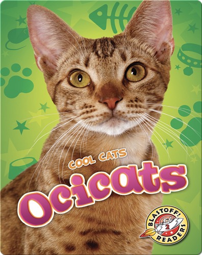 Cool Cats: Ocicats