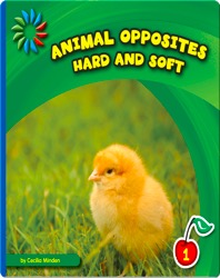 Hard and Soft