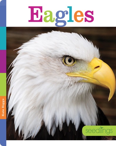 Eagles
