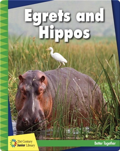 Egrets and Hippos