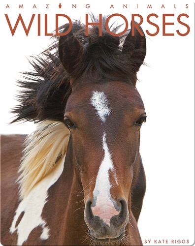 Wild Horses
