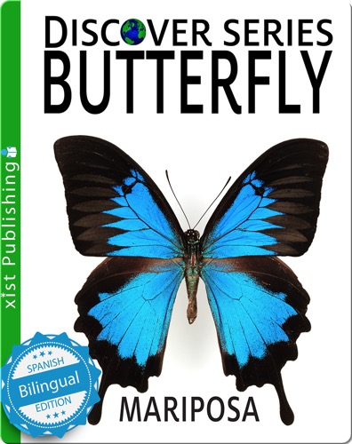 Butterfly / Mariposa