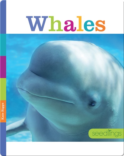 Whales