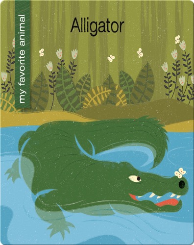 Alligator