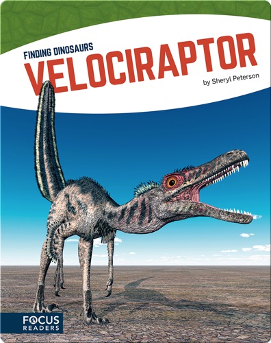 Velociraptor