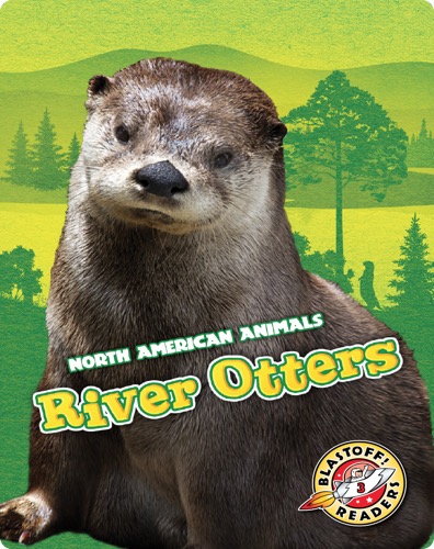 North American Animals: River Otters