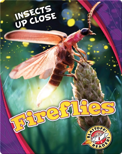 Fireflies