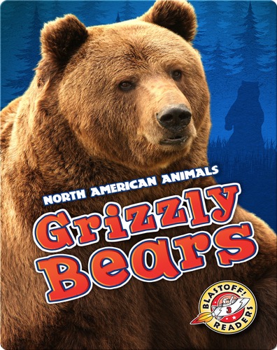 Grizzly Bears