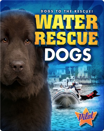 Water Rescue Dogs