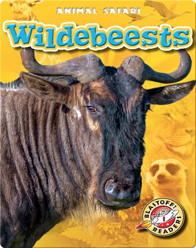 Wildebeests