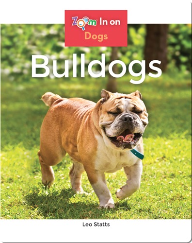 Bulldogs
