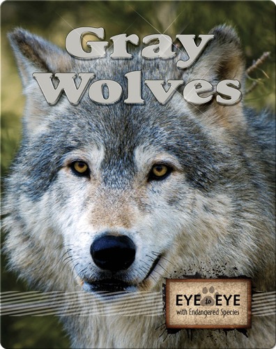 Gray Wolves