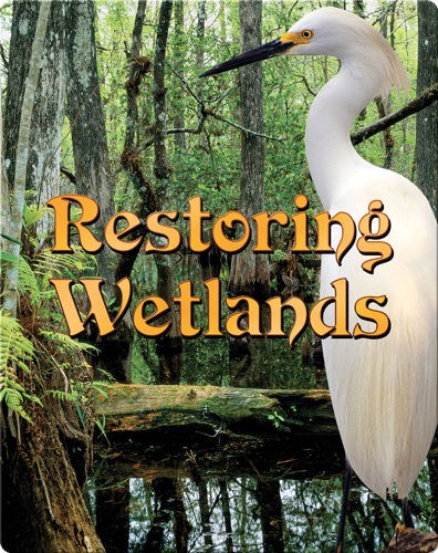 Restoring Wetlands