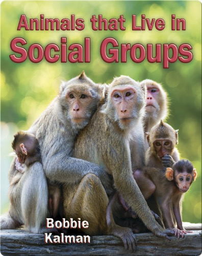 Animals that Live in Social Groups