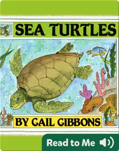 Sea Turtles