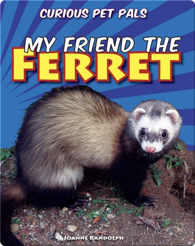 My Friend the Ferret