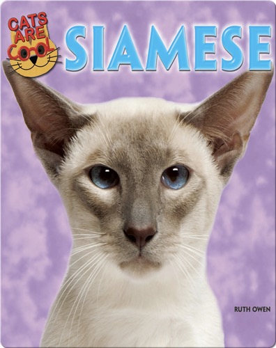 Siamese