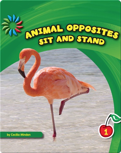 Sit and Stand