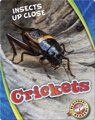 Crickets