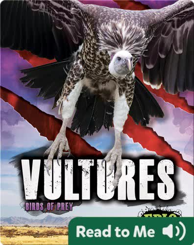 Vultures